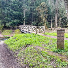 23-04-30 10-55-34 5232